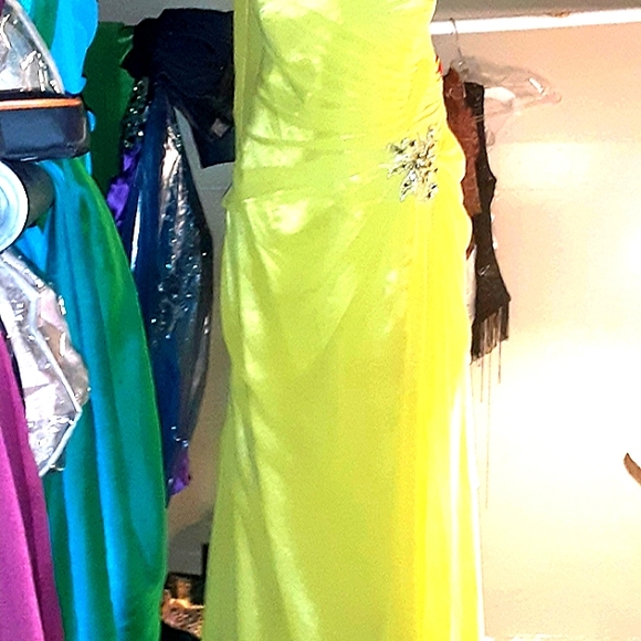 SOLD YESTERDAY Alyce paris PLUS SIZE DRESS - Picture 4 of 11